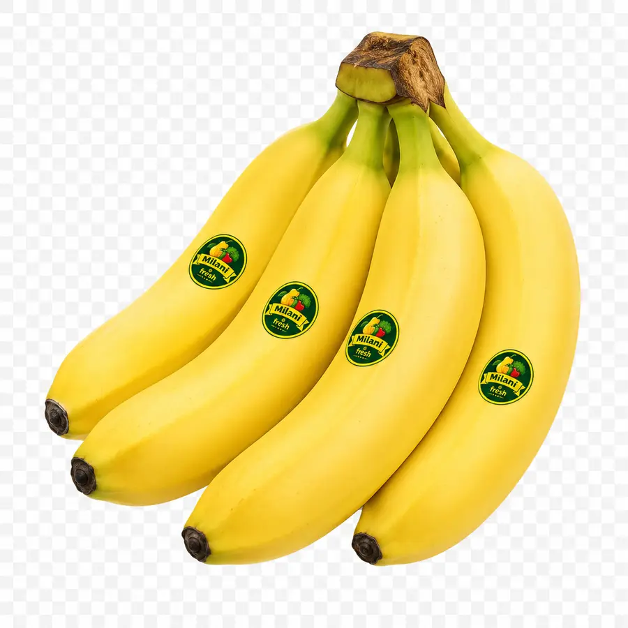 Fresh Milani Fresh branded bananas